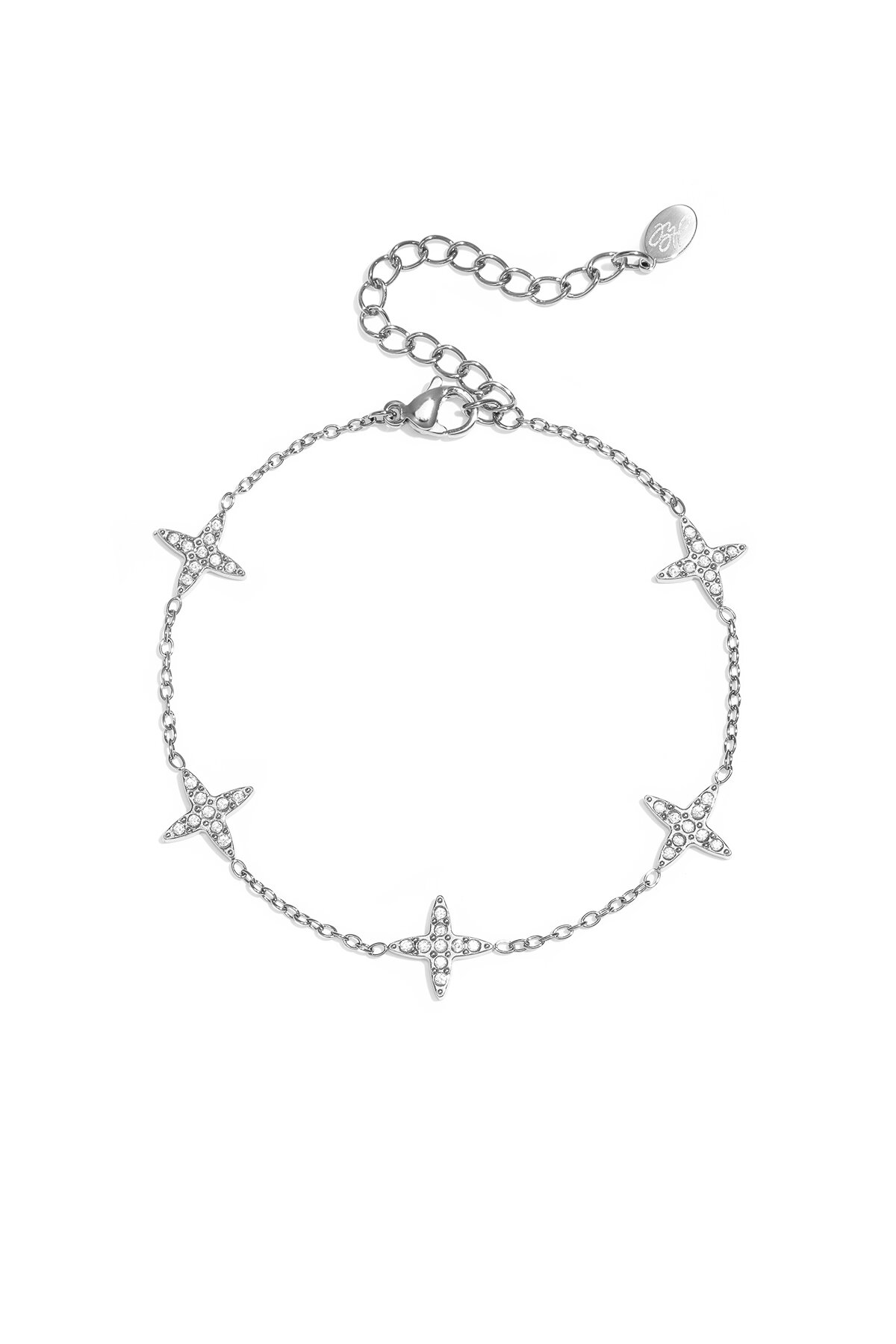 Silver Color Picture2