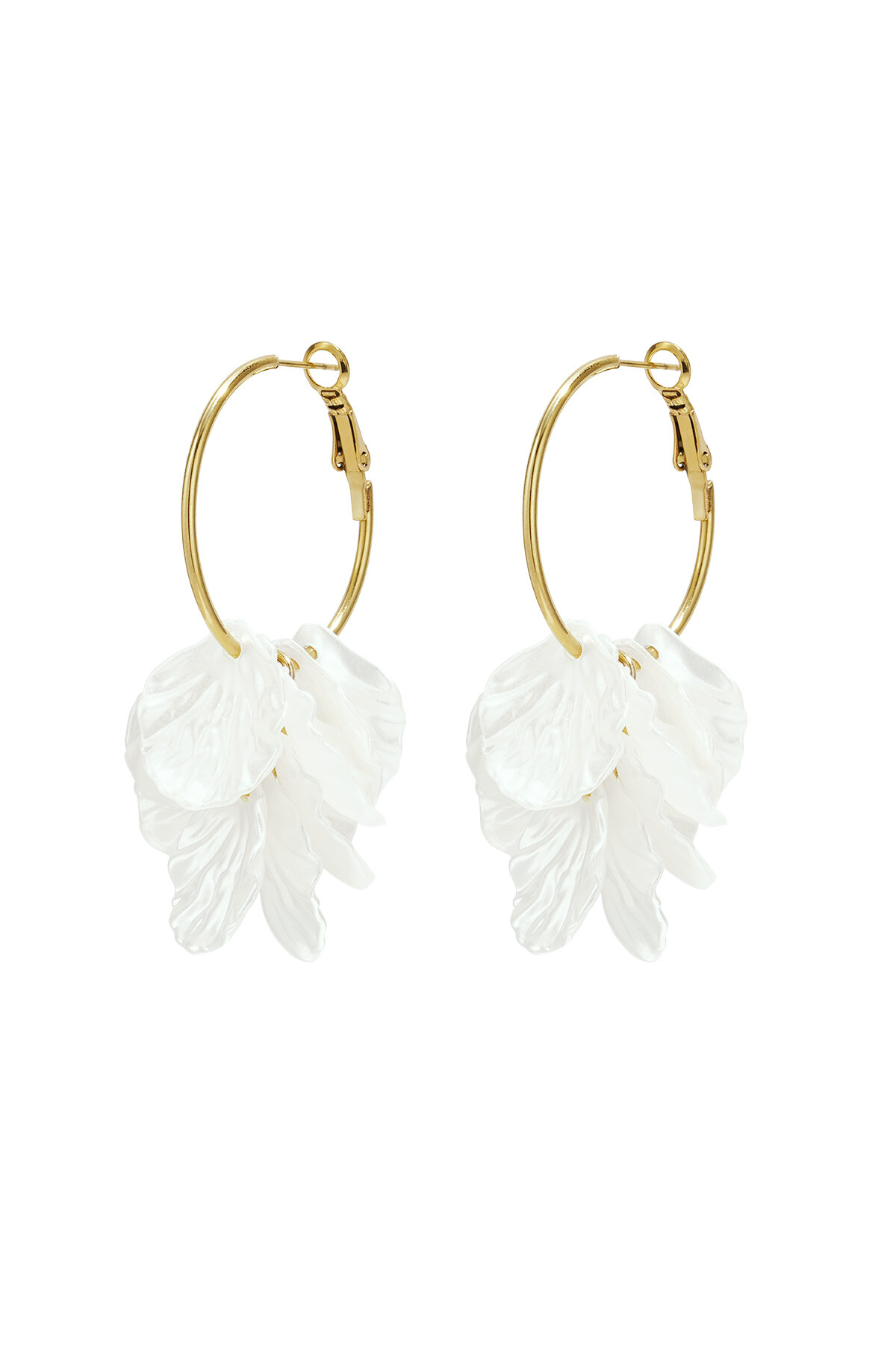 White Picture4