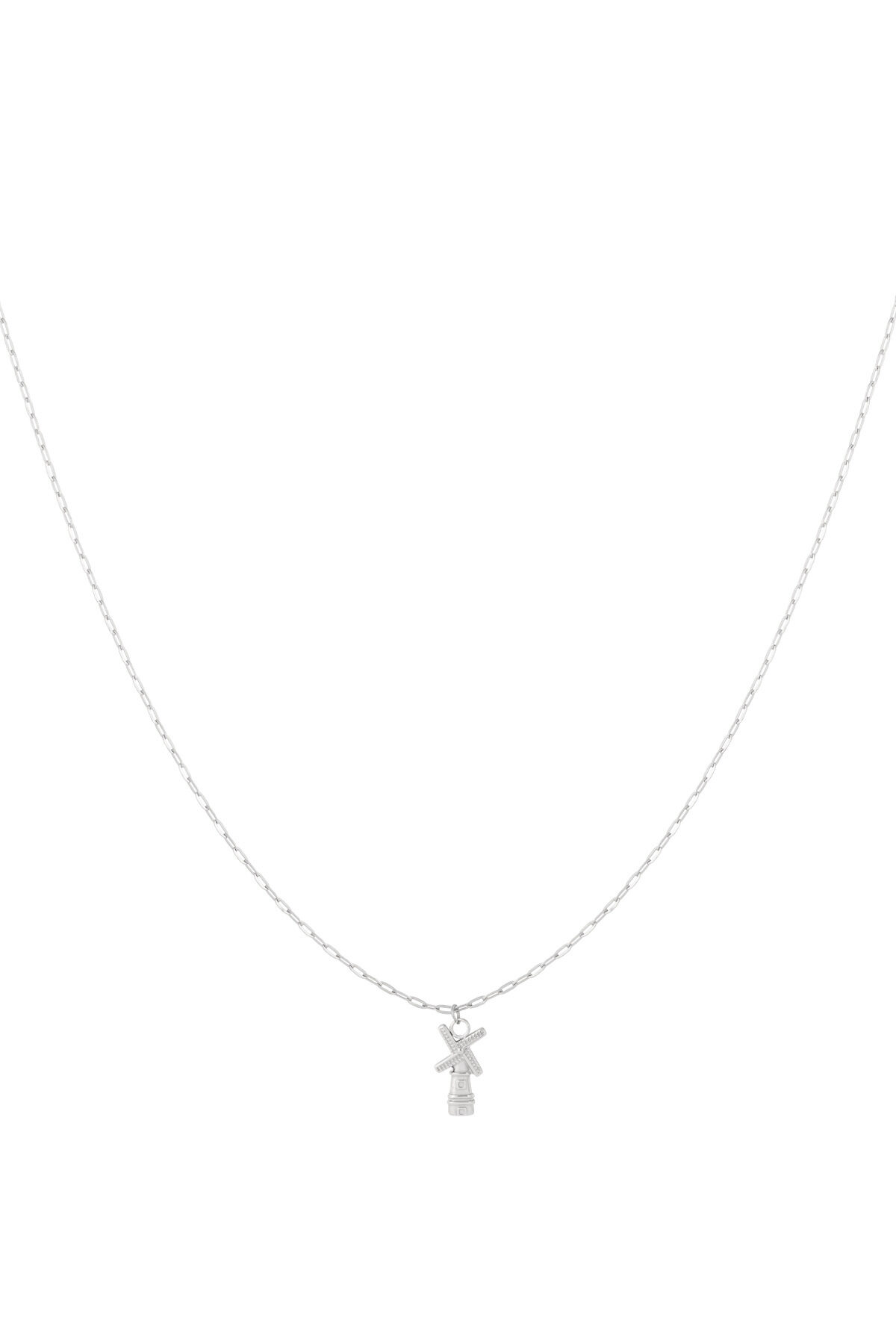 Silver Color Picture2