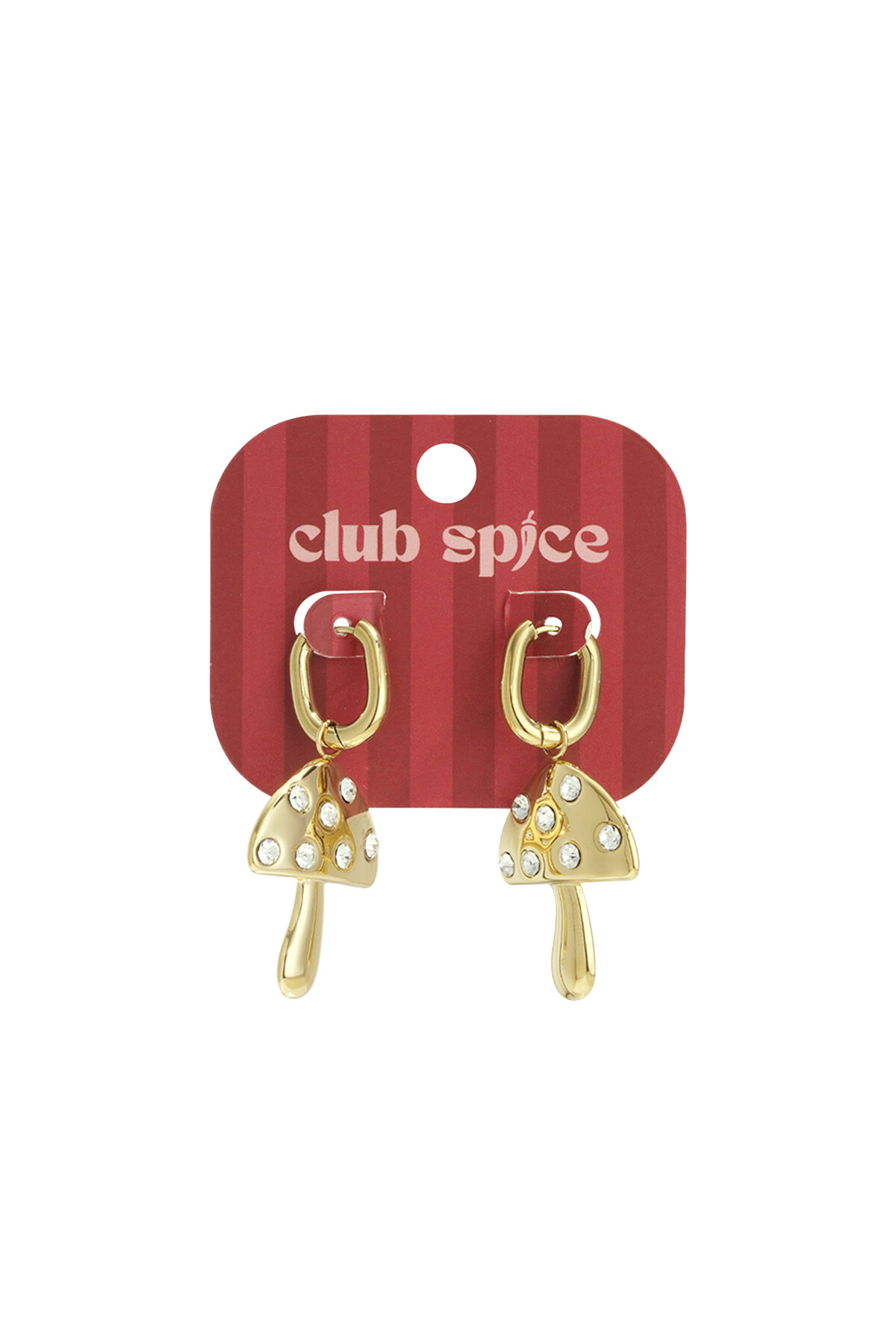 Stainless Steel Drop Earrings plant Casual Daily Simple Series Women's jewelry h5 Picture5