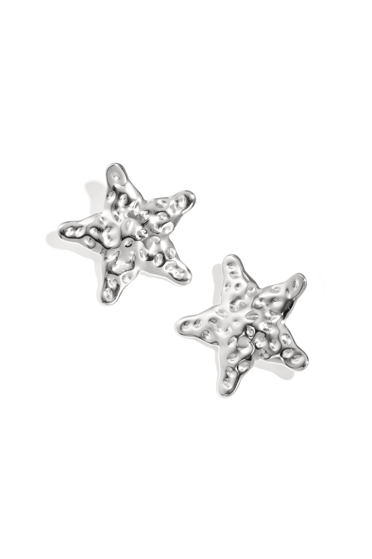 Silver Color Picture2