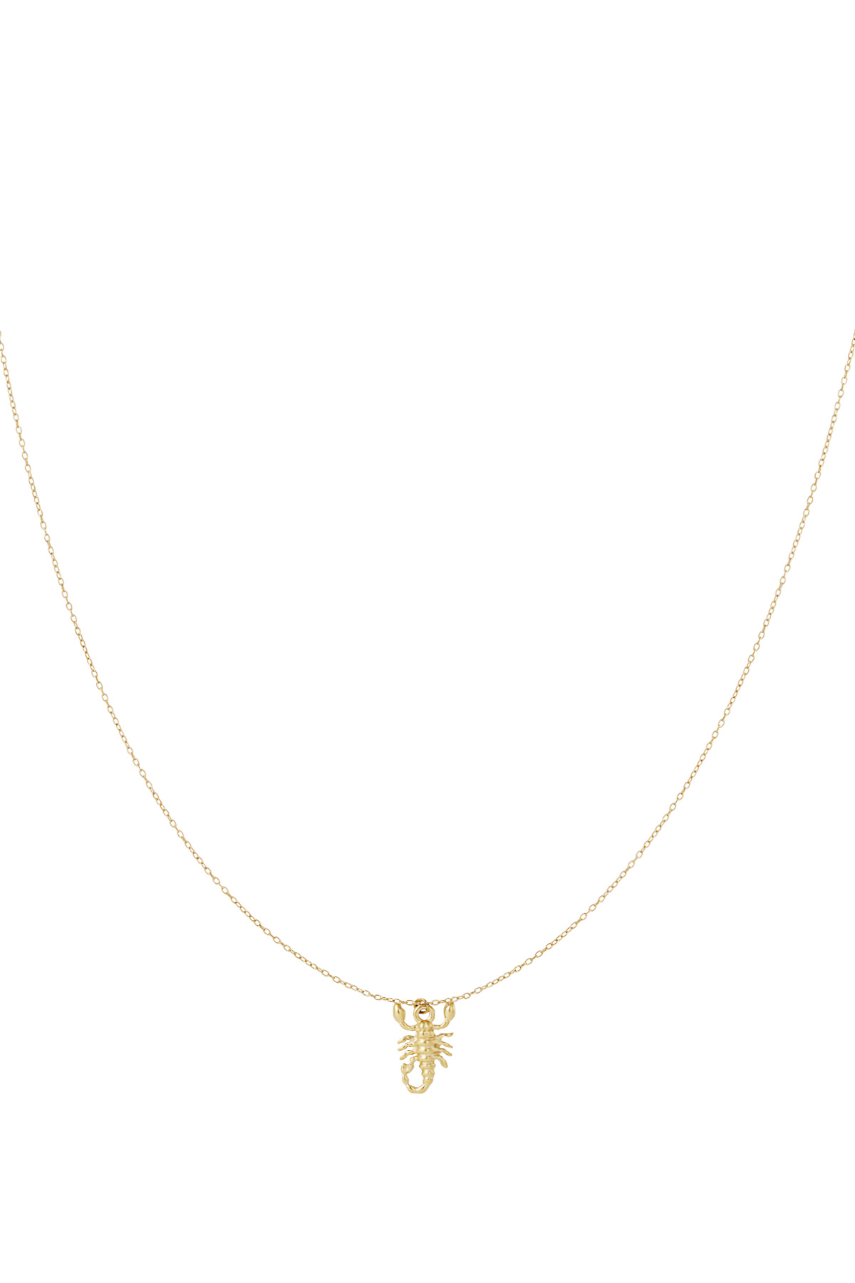 Scorpio Spirit necklace 2