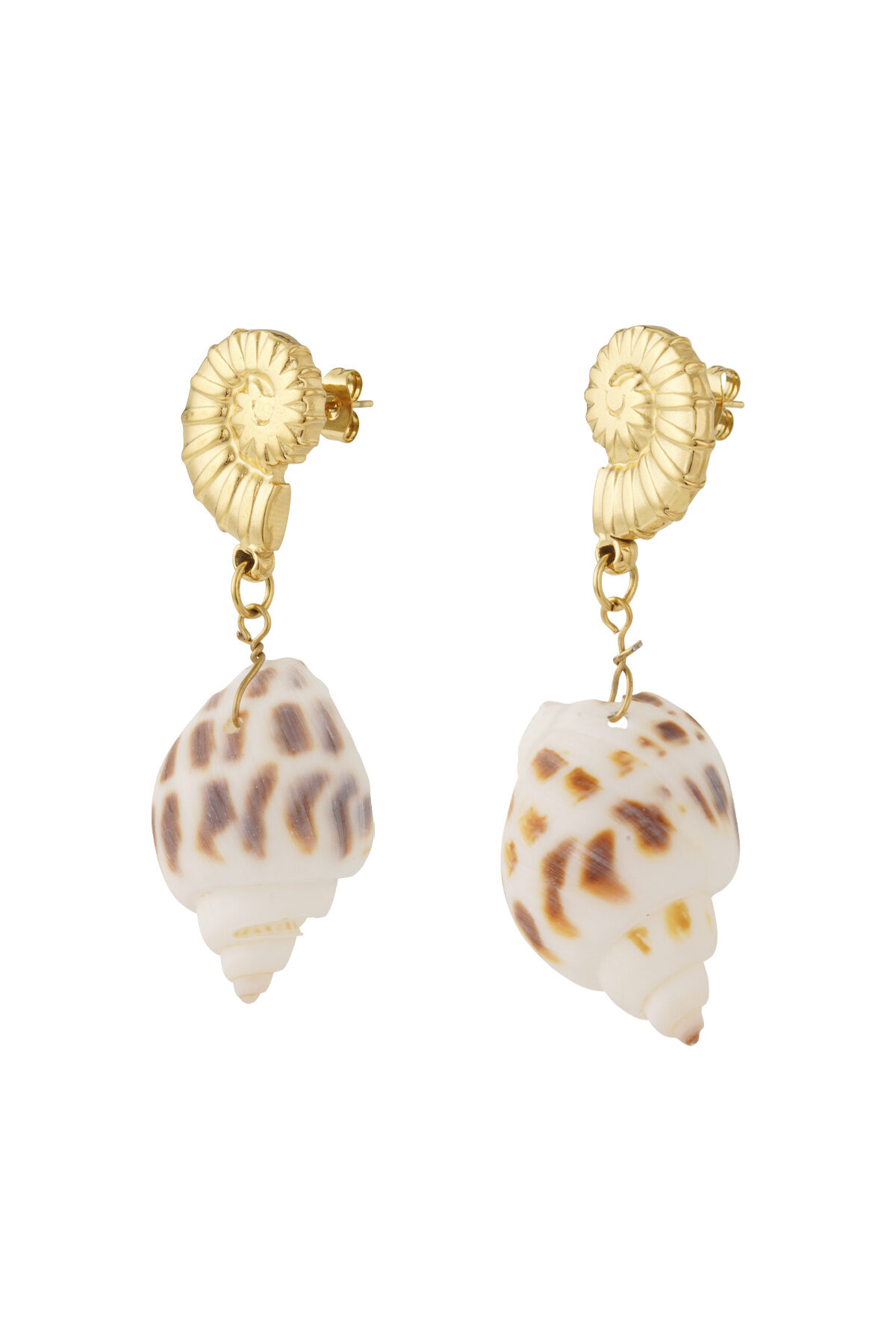 Seashell Elegance Earrings h5 