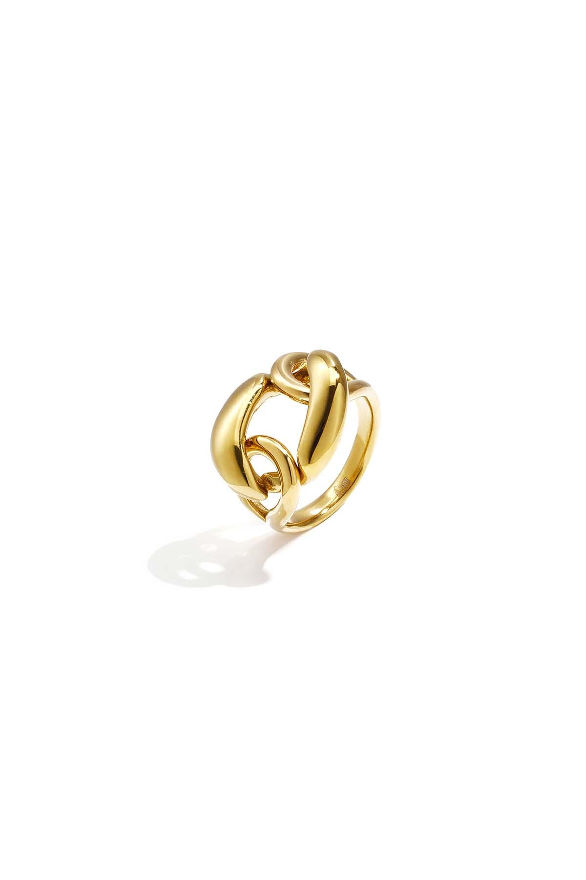Statement ring with large link 2