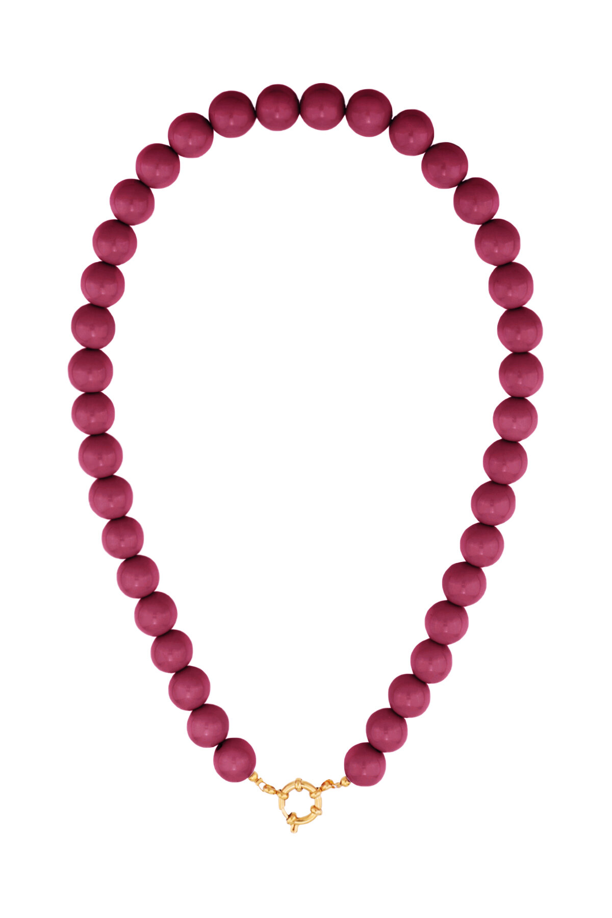 Fuchsia Picture6