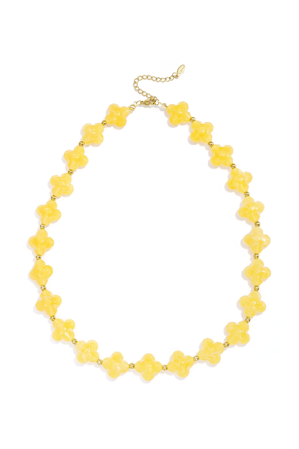 Yellow Picture3
