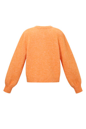 Knitted Polyester Fiber Women's Cardigan Casual Solid Color Fall/Winter h5 Picture3