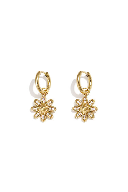 Boucles d'oreilles pendantes en acier inoxydable plaqué or 14 carats, motif floral, collection décontractée et simple pour femmes 2