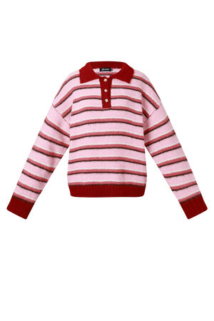 Knitted polo sweater with stripes h5 Picture11