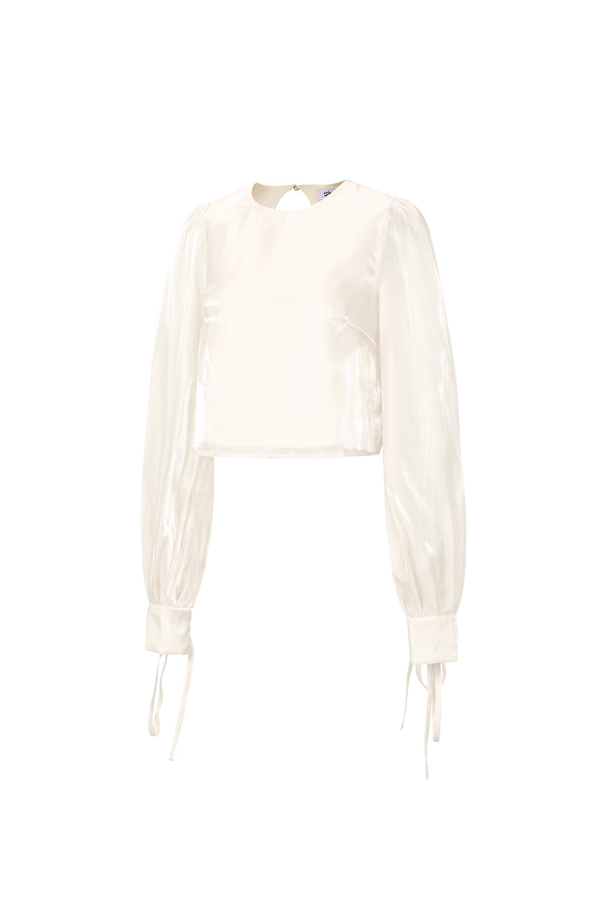 Shimmer Pearl Blouse h5Picture2