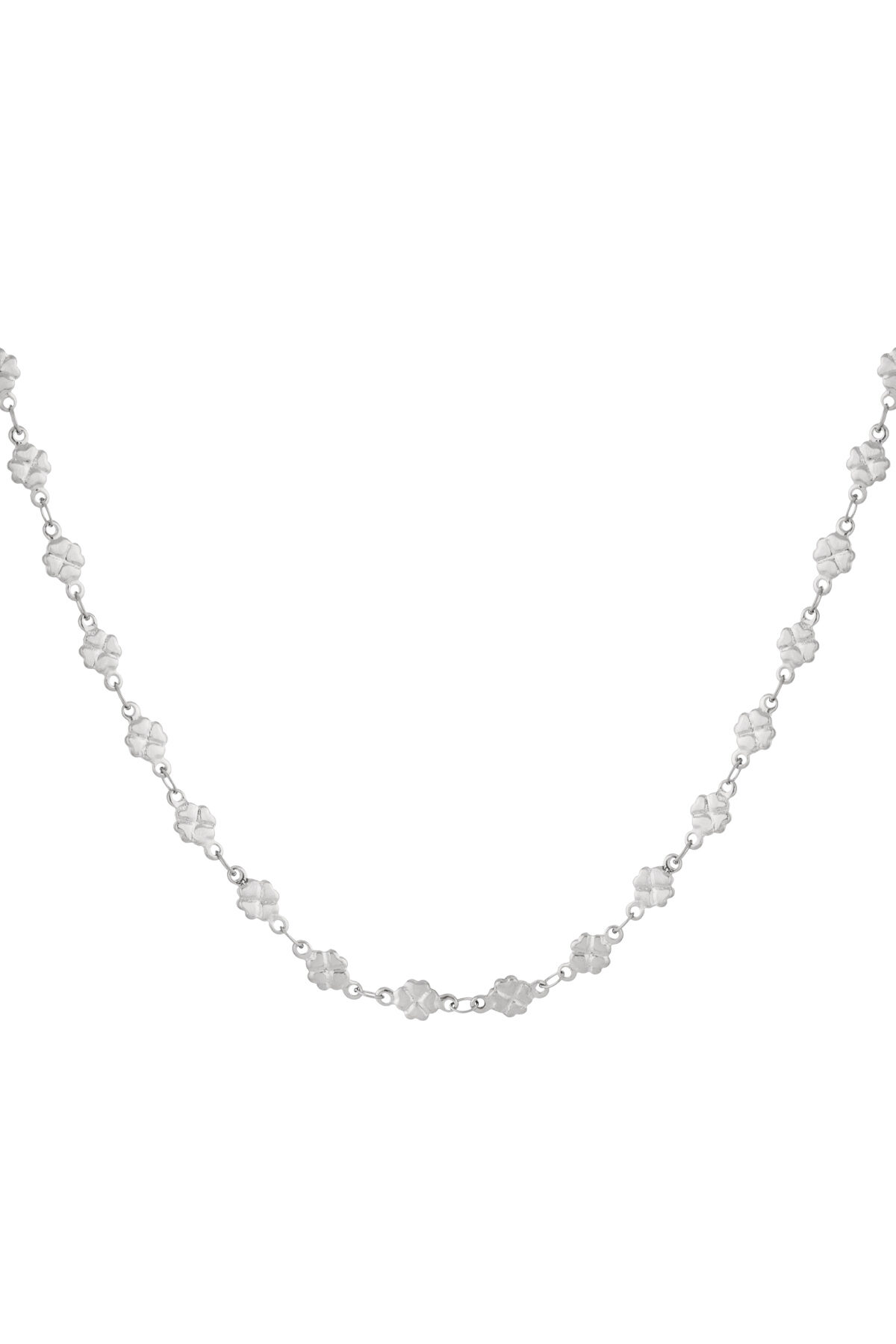 Silver Color Picture2