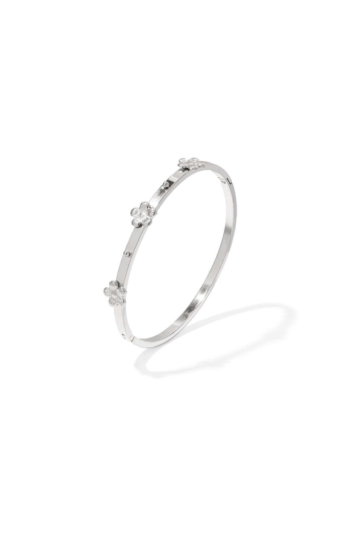 Silver Color Picture2