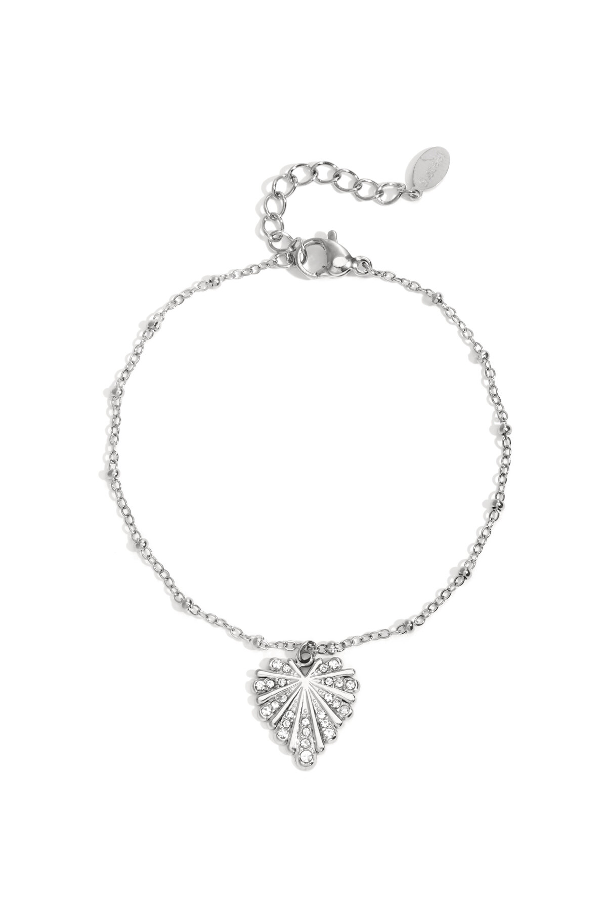 Silver Color Picture2
