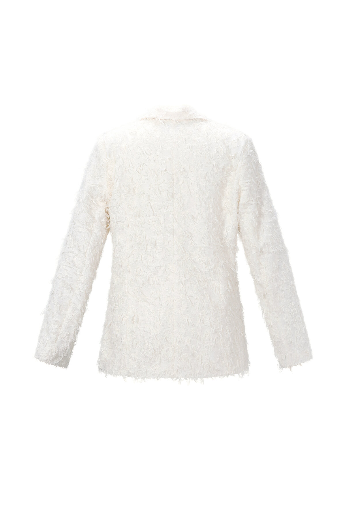 Textured Blazer h5 Picture3