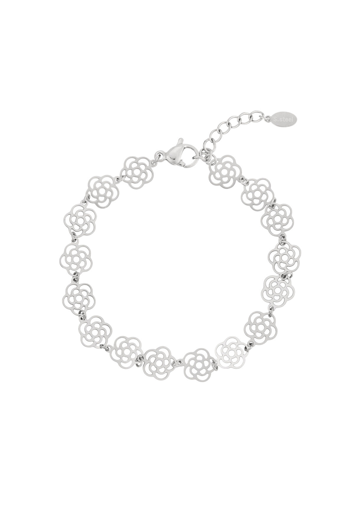 Silver Color Picture2