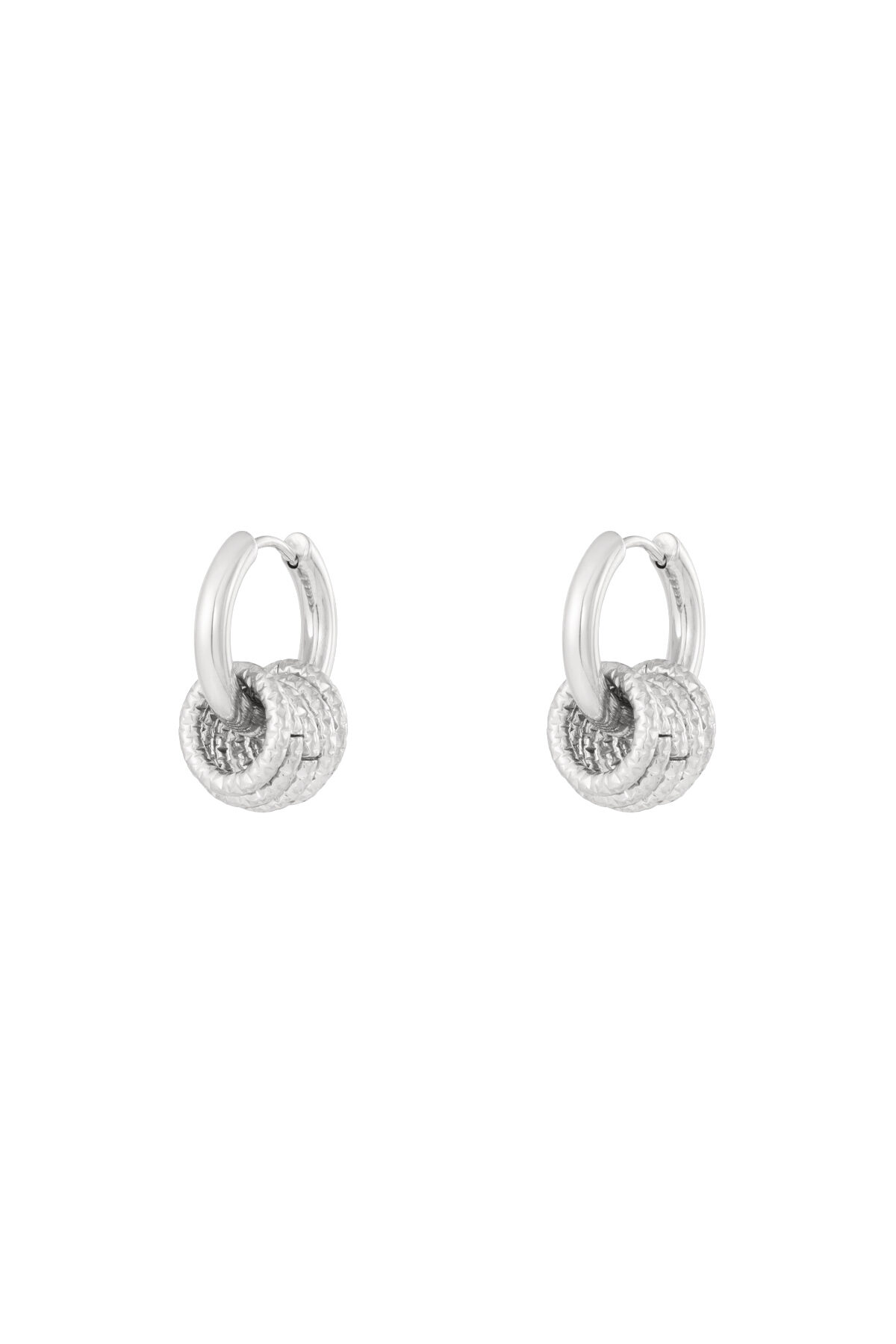 Silver Color Picture2