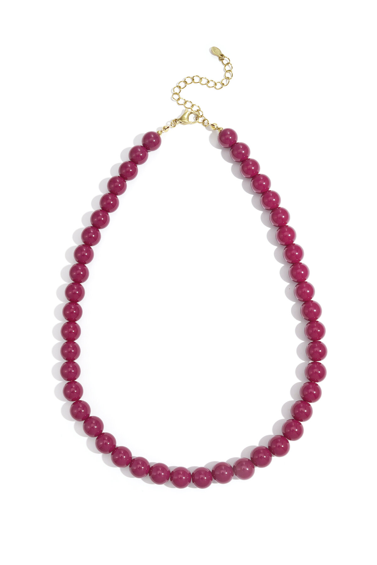 Fuchsia Picture6