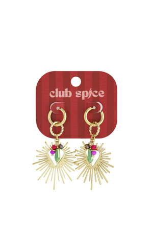 Shining Heart Happy Charm earrings h5 Picture5