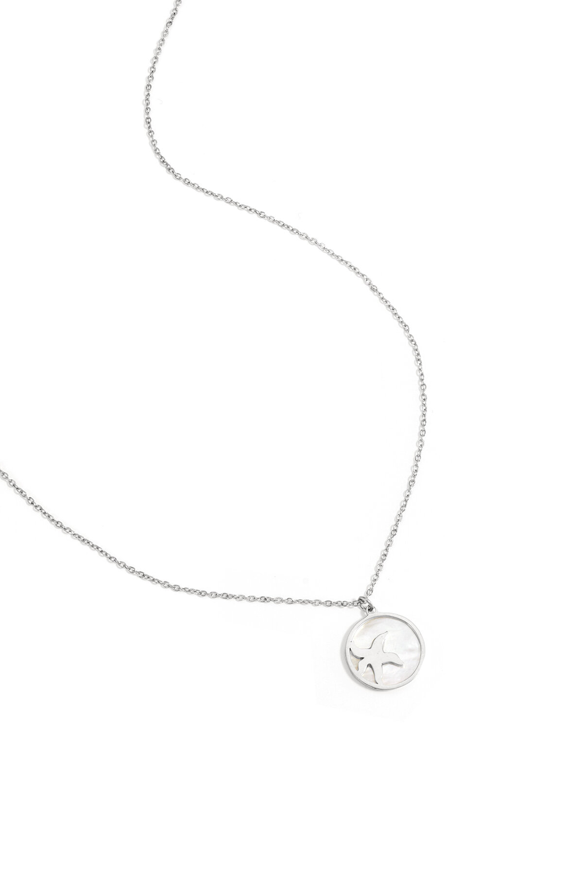 Silver Color Picture2