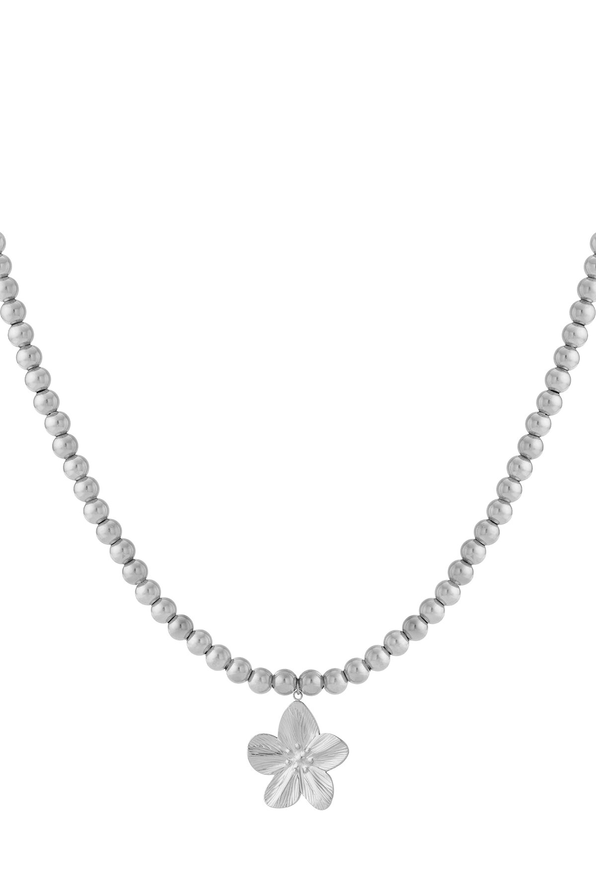 Silver Color Picture2