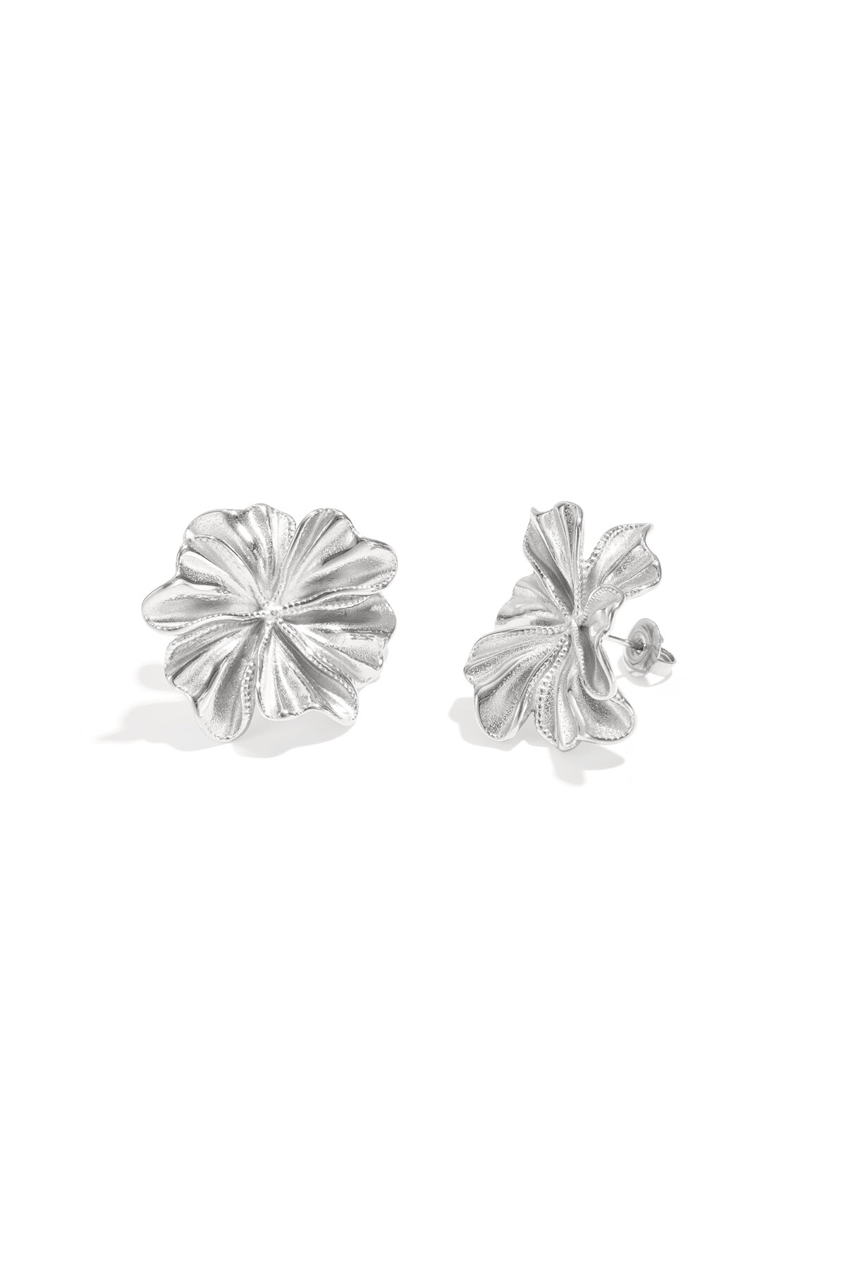 Silver Color Picture2
