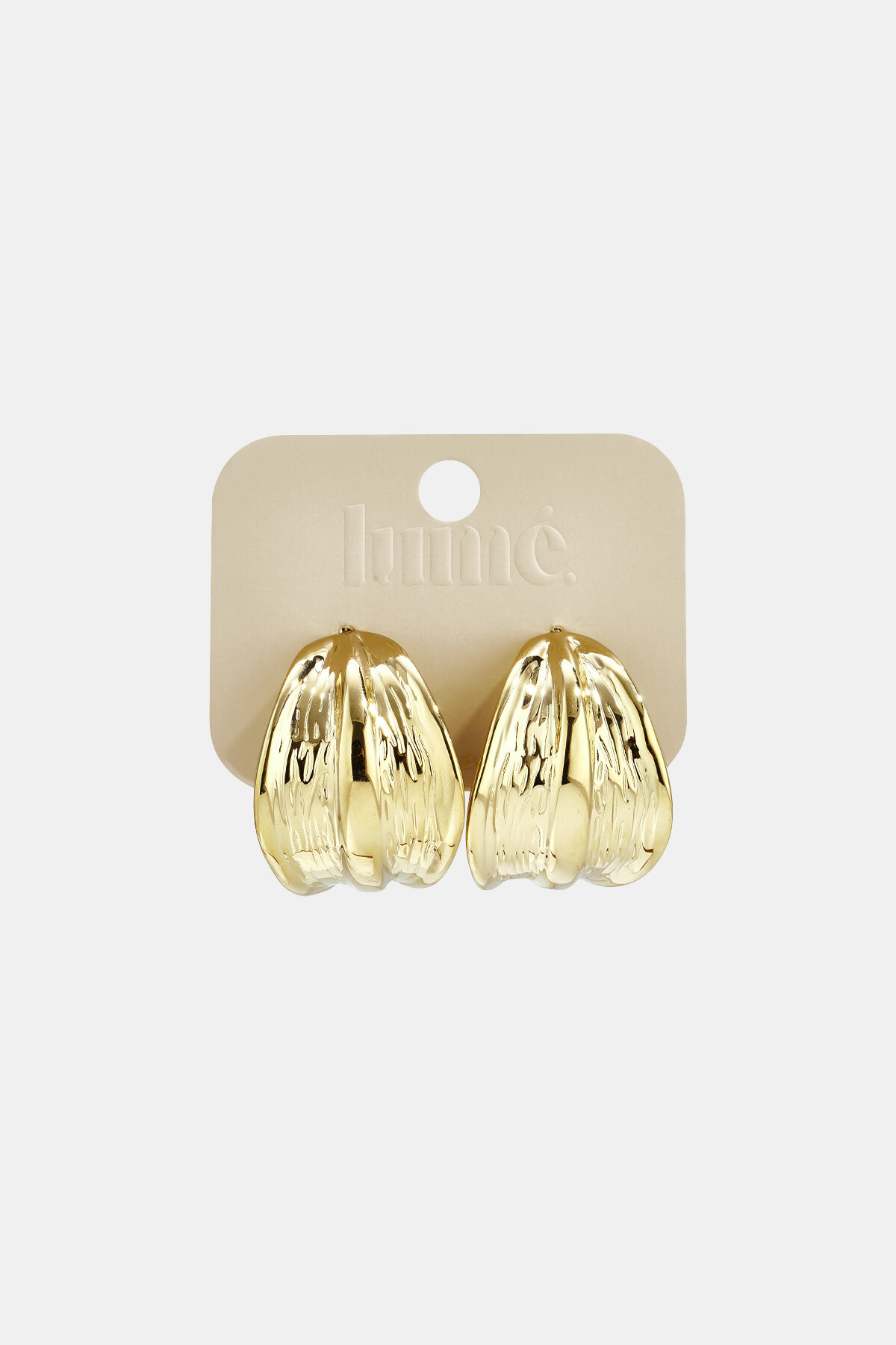Stainless Steel Hoop Earrings leaf Casual Daily Simple Series Women's jewelry h5 Picture5