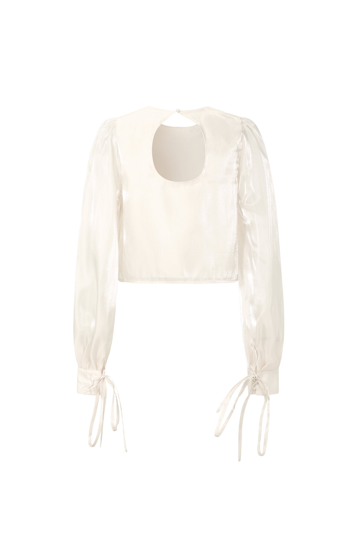Shimmer Pearl Blouse h5 Picture3