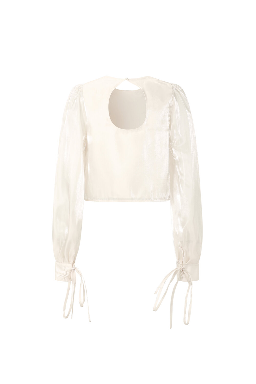 Shimmer Pearl Blouse h5Picture3