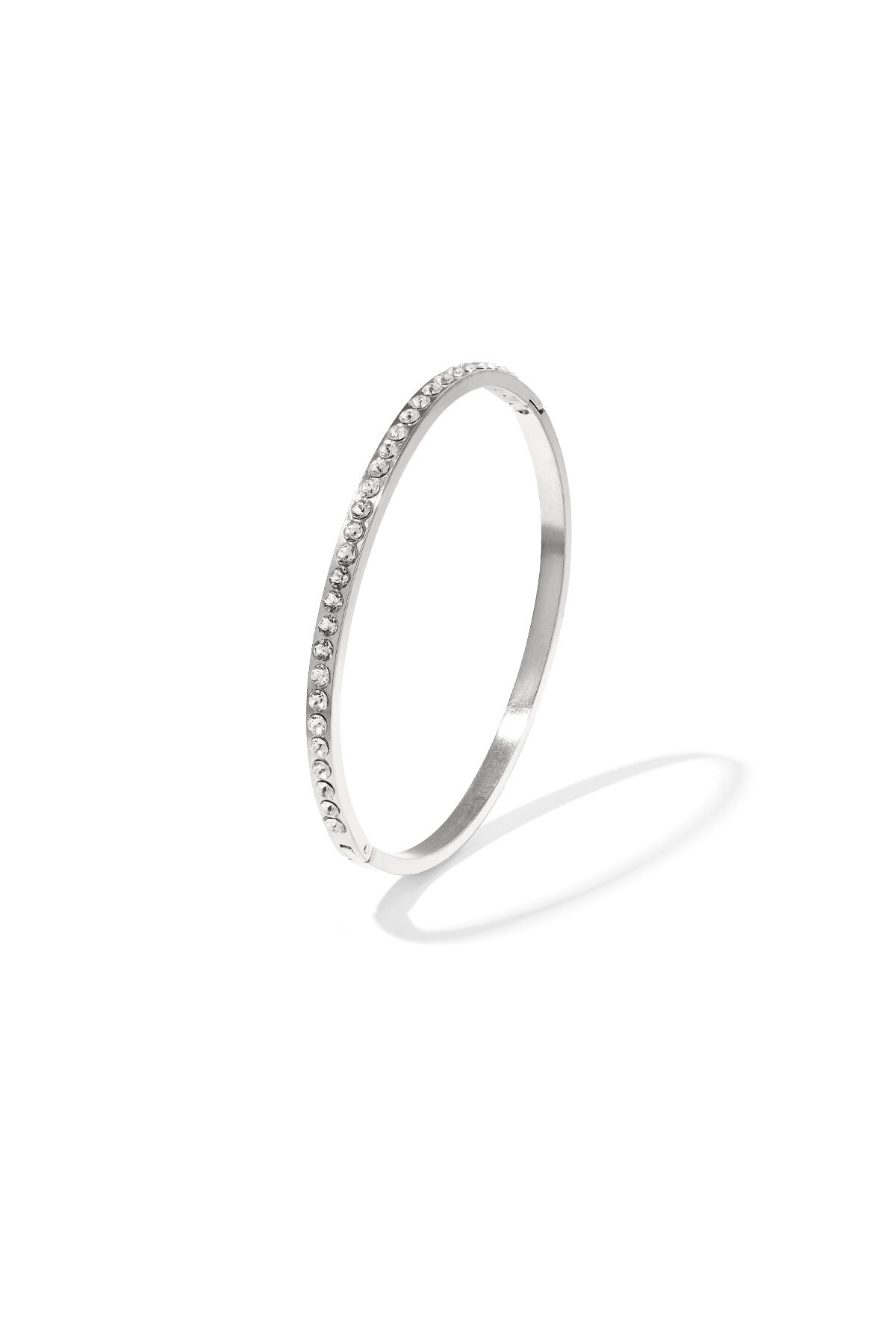 Silver Color Picture2