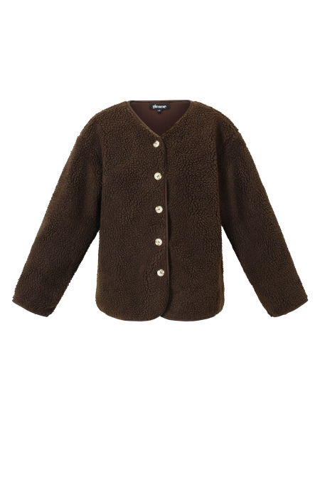 Teddy coat 2