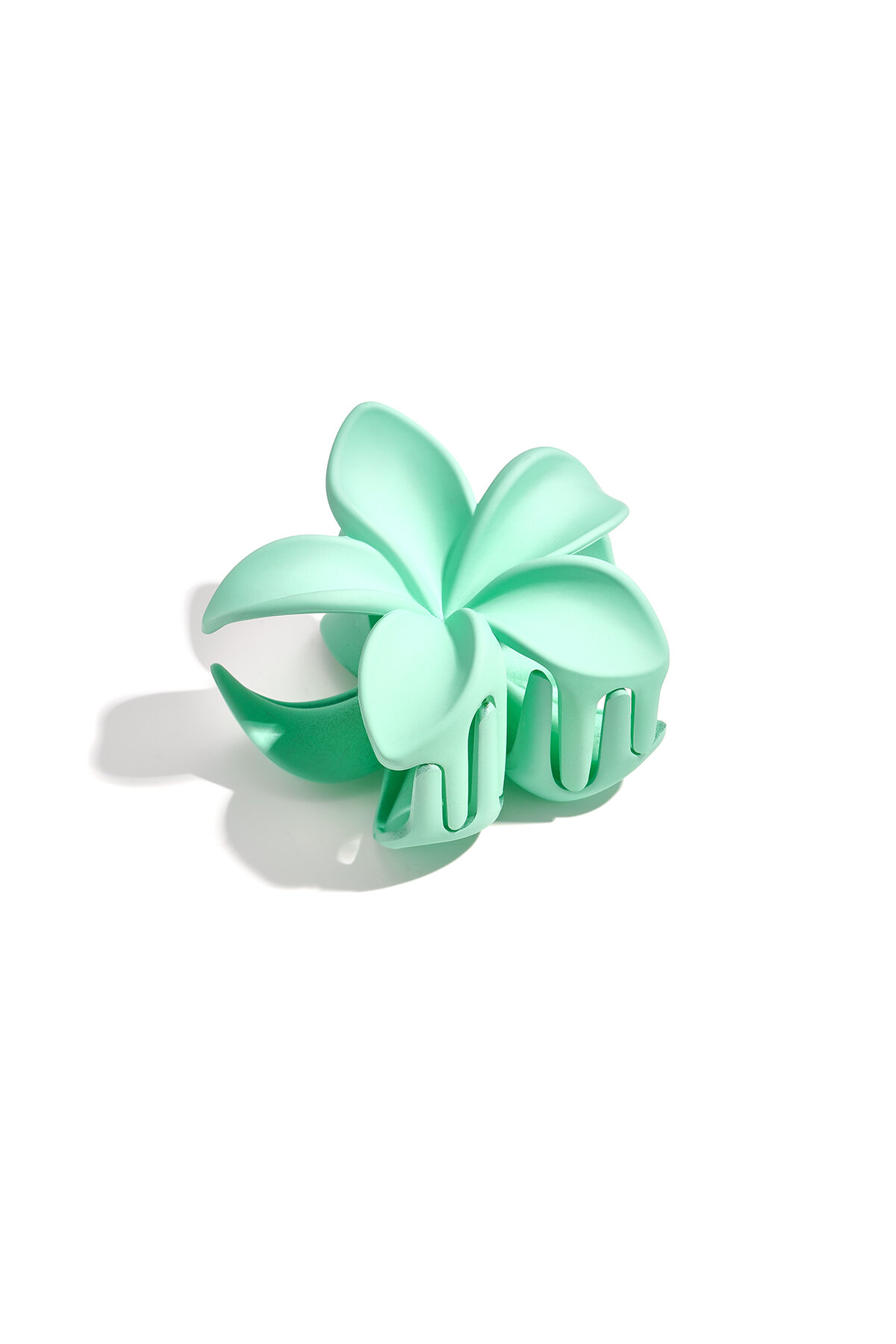Verde Imagen5
