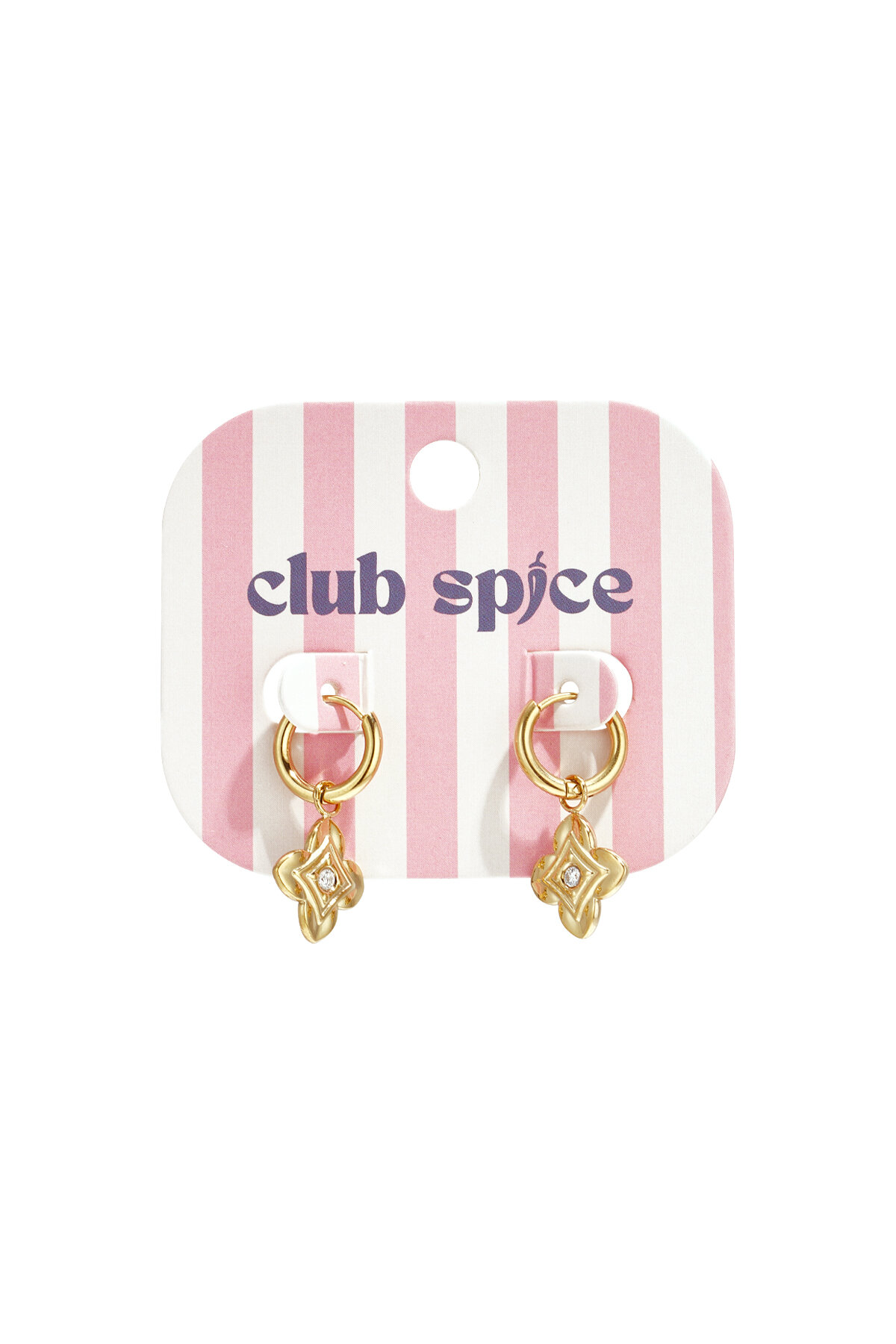 Stainless Steel Drop Earrings Flower Simple Daily Simple Series Women's jewelry Picture3