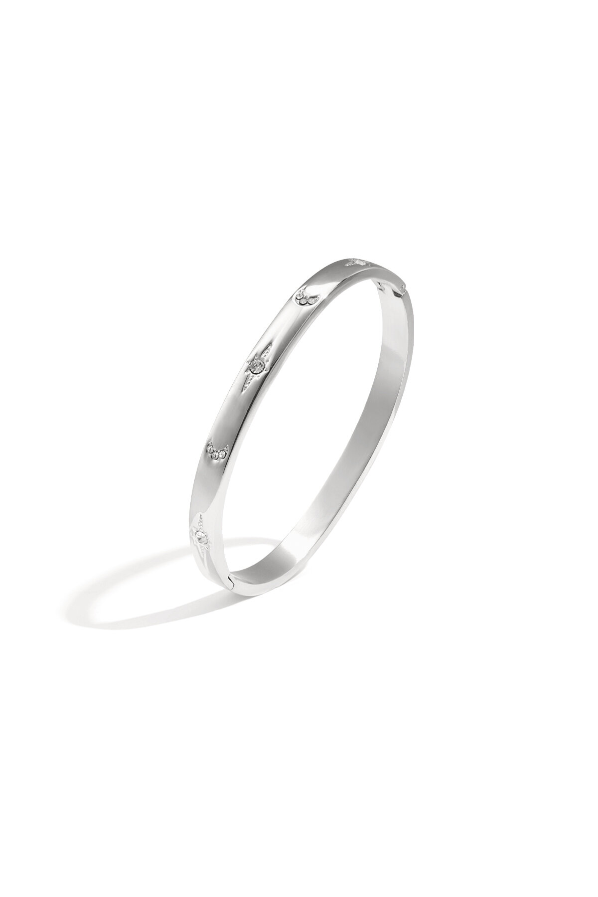 Silver Color Picture2