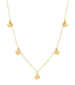 Shell Long Necklace h5