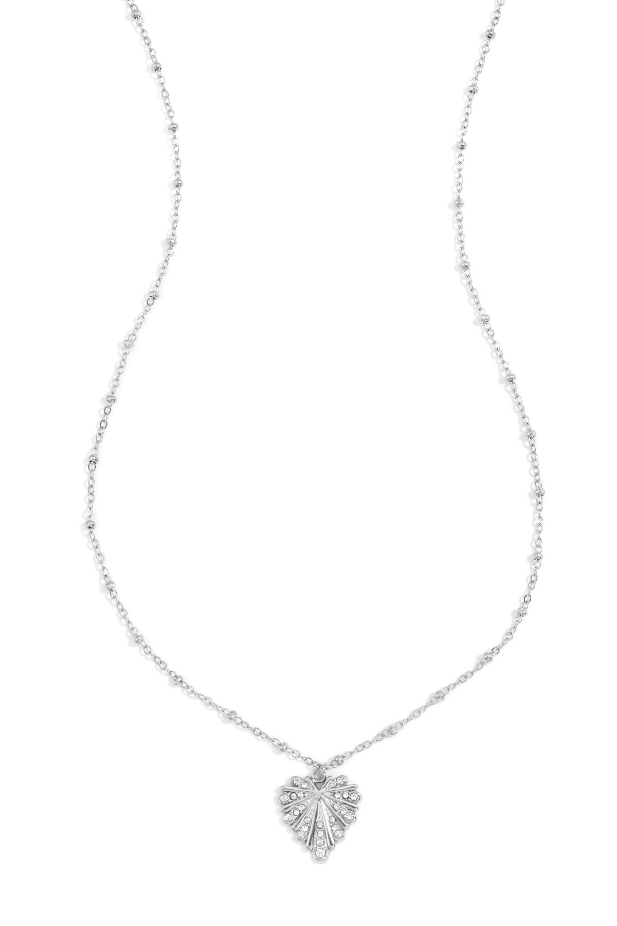 Silver Color Picture2