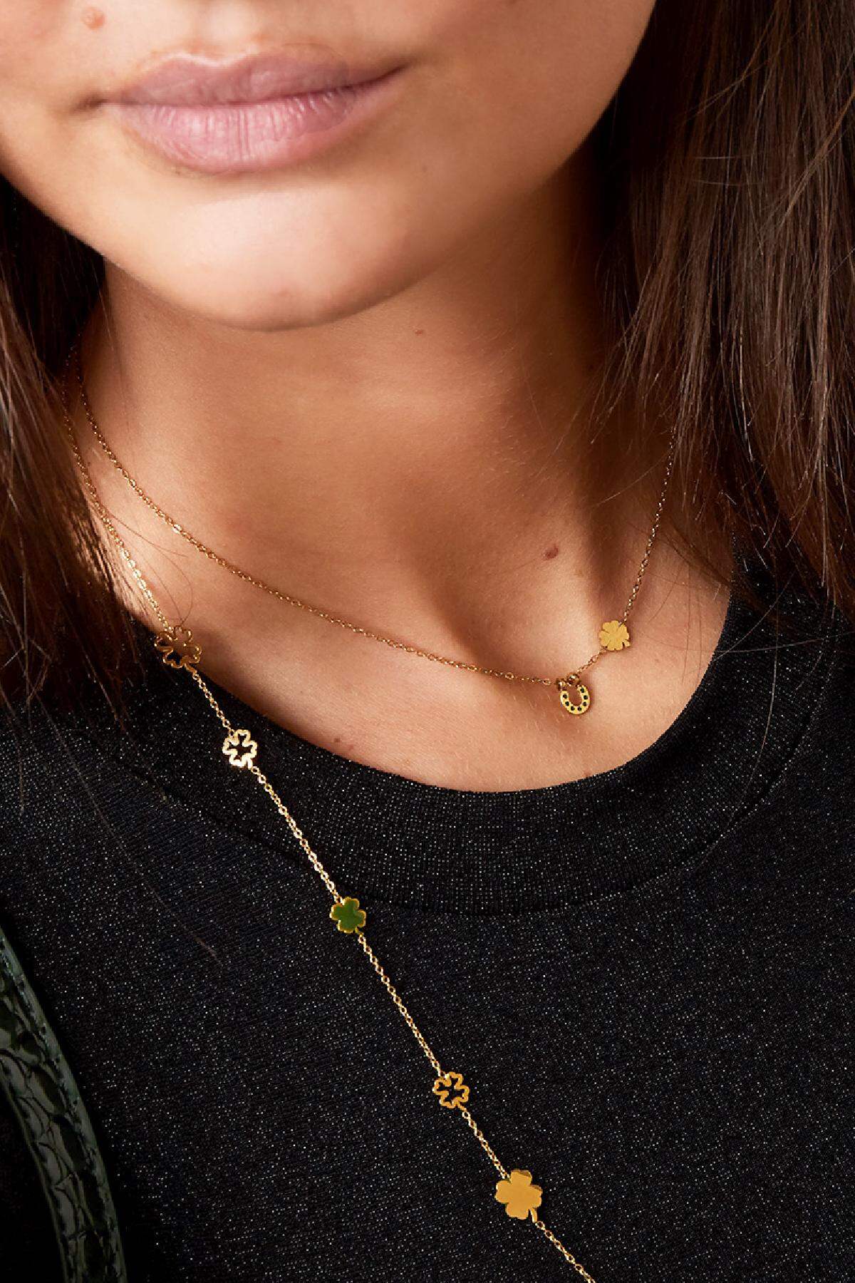Necklace with horseshoe and clover h5 
