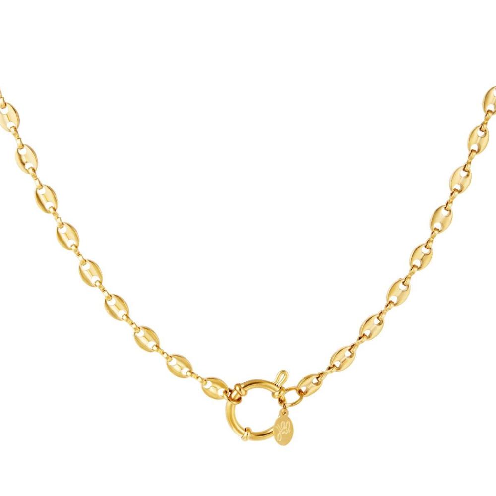 Stainless Steel Linked Necklace Picture4