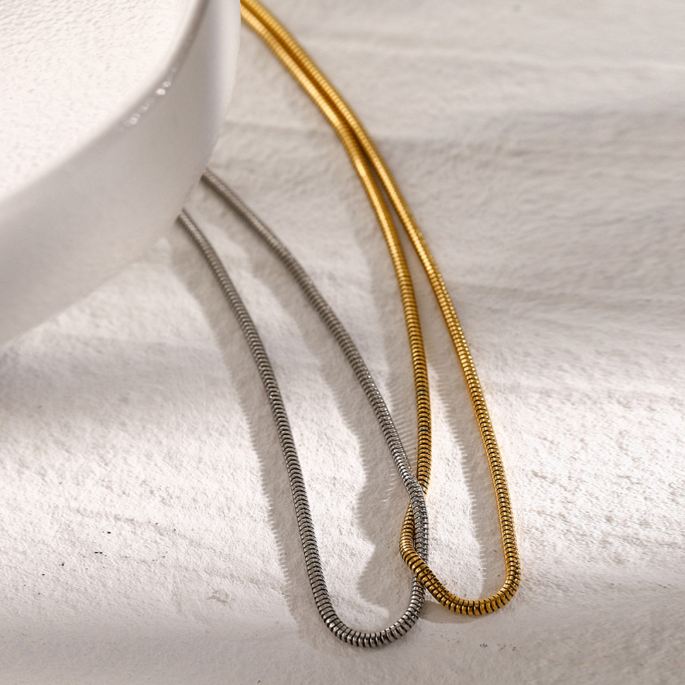  Stainless Steel And Silver Color Matching Flat Snake Bone Chain Necklace  Cold Style Unique Design Titanium Steel Necklace Picture4