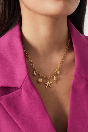 collier brise marine h5 Image2