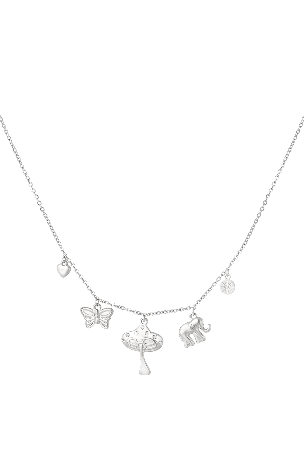 Silver Color Picture2