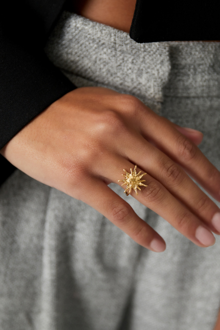 Ring Sunny Side 2
