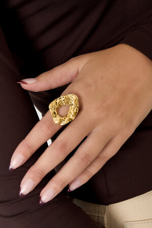 Stainless Steel Statement Rings irregular shape Casual Daily Simple Series Women's jewelry h5 Picture3