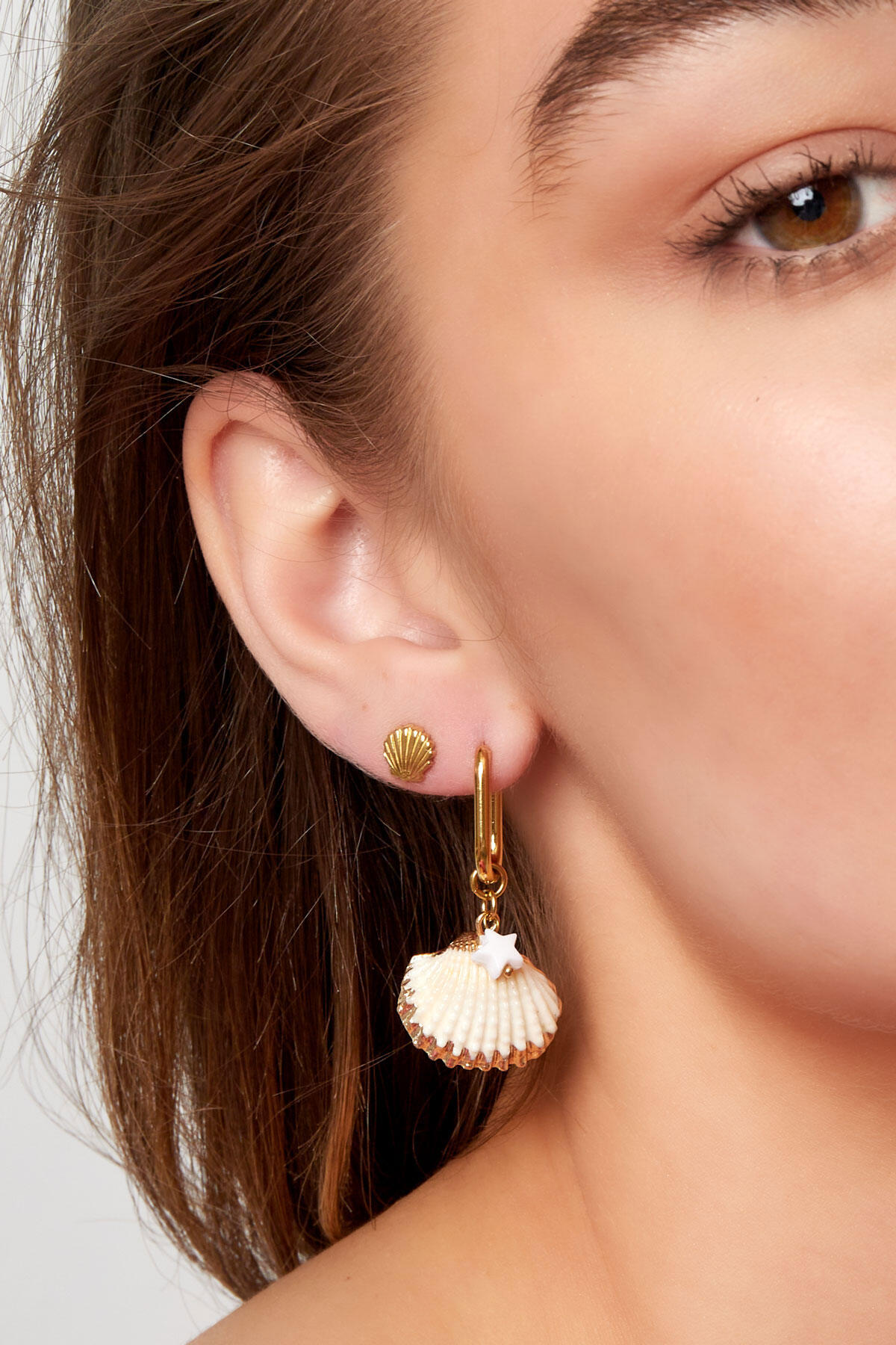 Pendientes concha de mar con estrella - Color dorado Acero inoxidable Imagen3