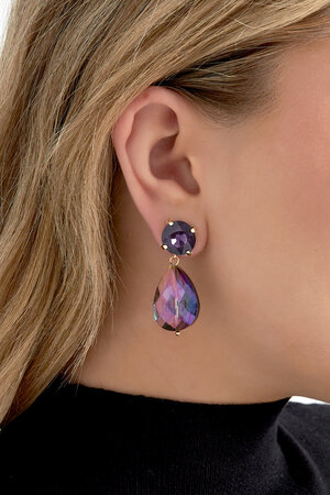 Oorbellen posh pardon - blauw bruin h5 Afbeelding2
