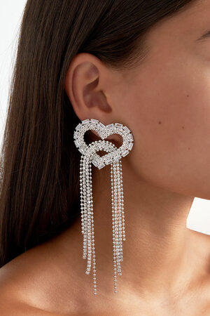 heart of the party earrings h5 Picture2