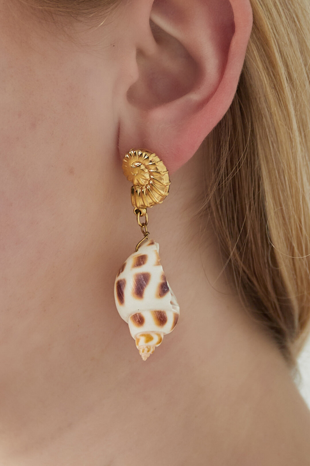 Seashell Elegance Earrings h5 Picture2
