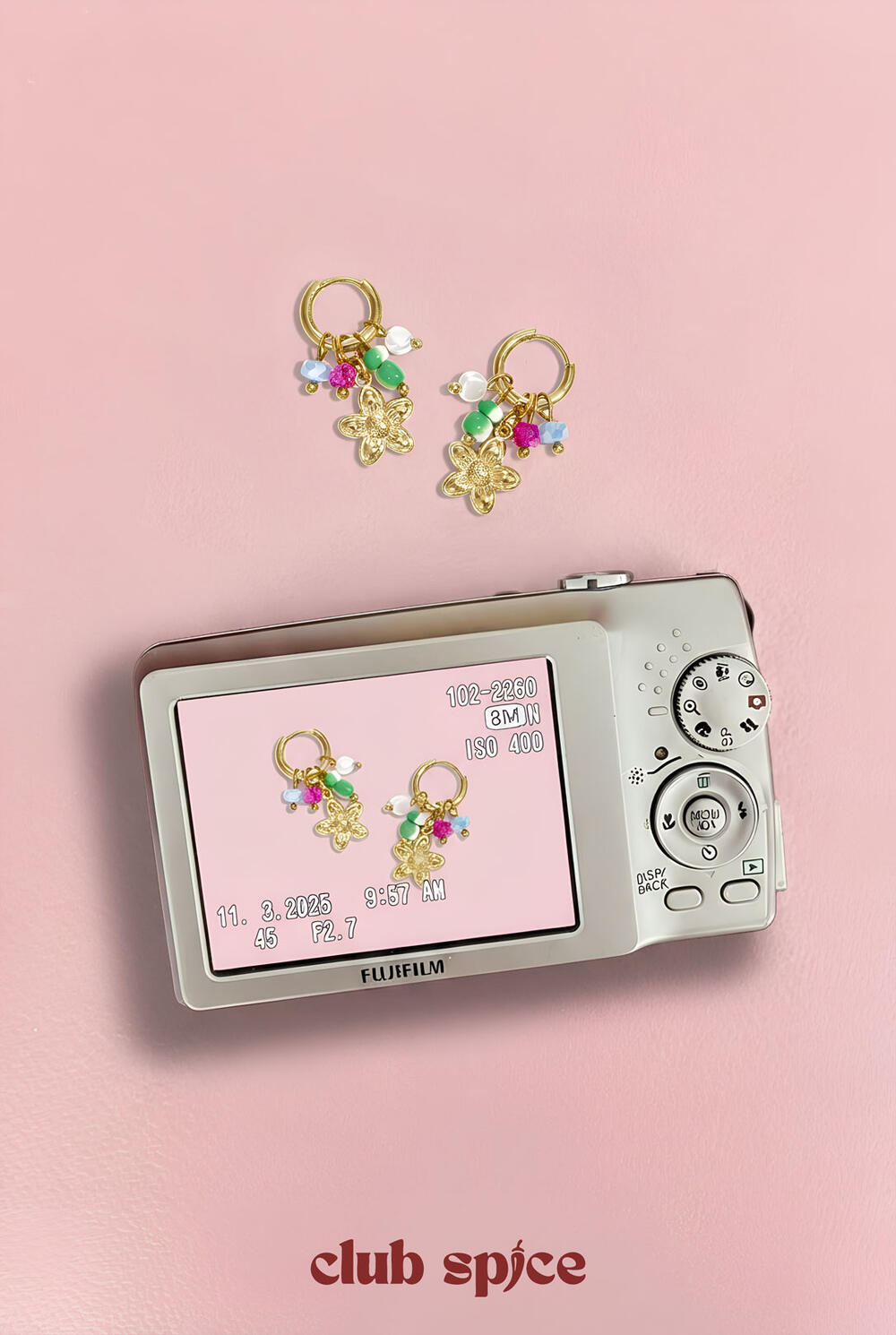 Stainless Steel Drop Earrings Flower Casual Daily Romantic Series Women's jewelry h5Picture2