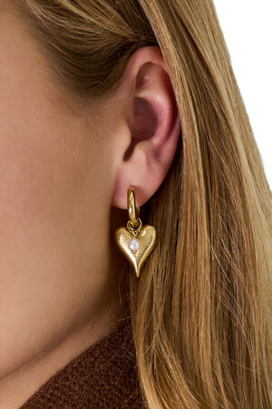 Drop Earrings Heart Casual Daily Simple Series Women's jewelry h5 Picture4