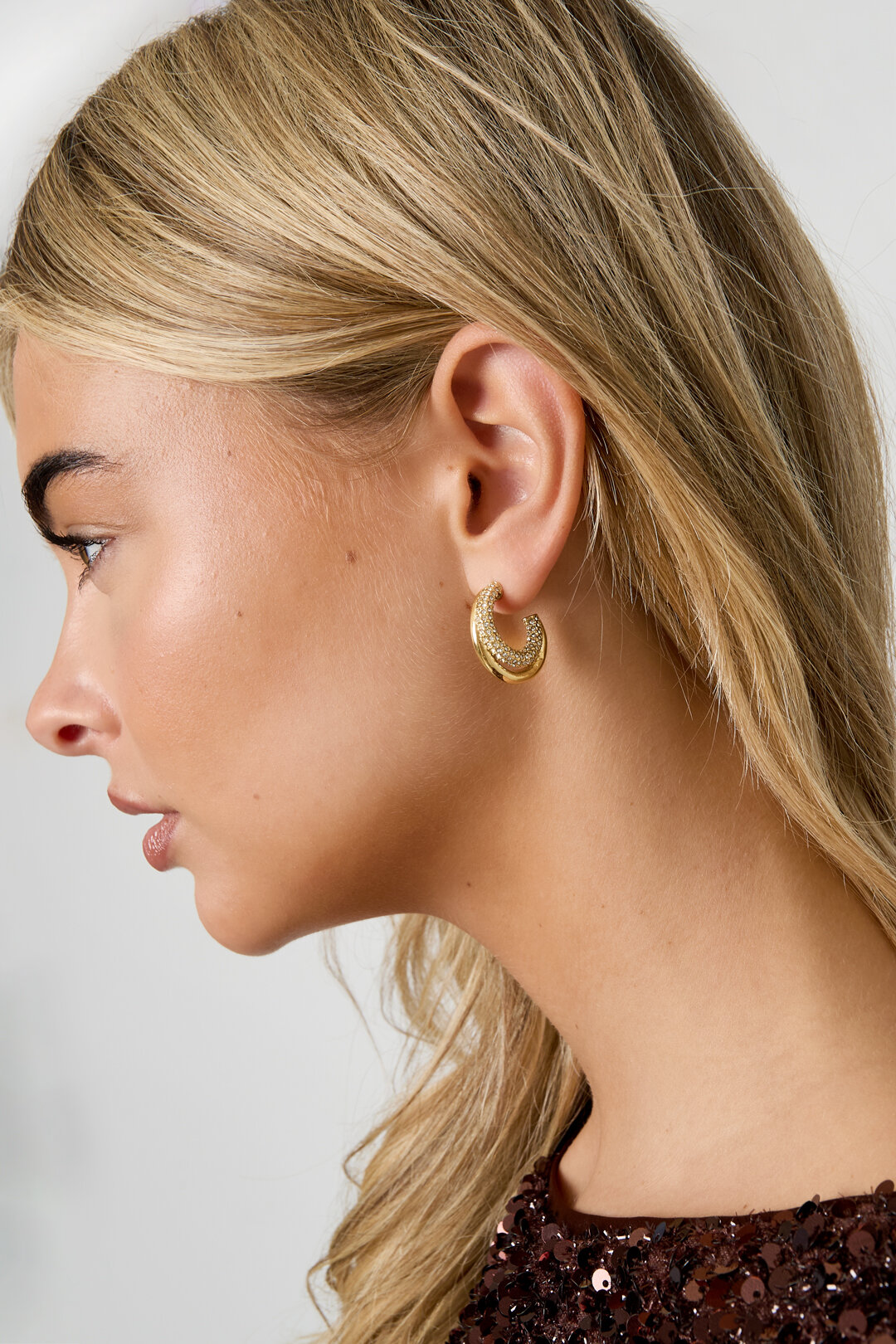 Stainless Steel Hoop Earrings circle Casual Daily Simple Series Women's jewelry h5 Picture4