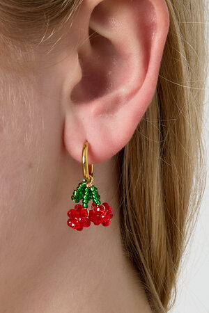 Stainless Steel Drop Earrings Plant Casual Daily Simple Series Women's jewelry h5 Picture2